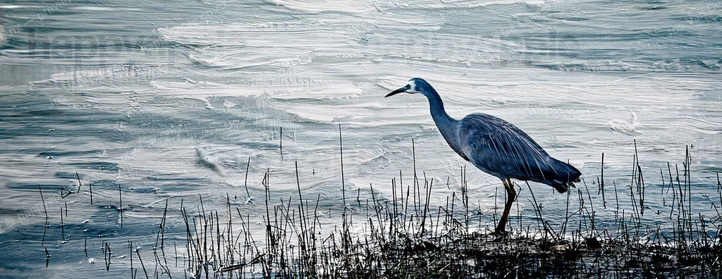 Blue Heron Stalking the Shoreline at Dusk — Wildlife photo by Jos Van De Laar
