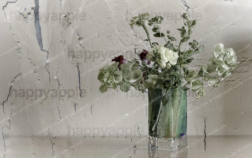 Faded Botanicals in Glass Vase Against Weathered Wall — Nature photo by Jos Van De Laar