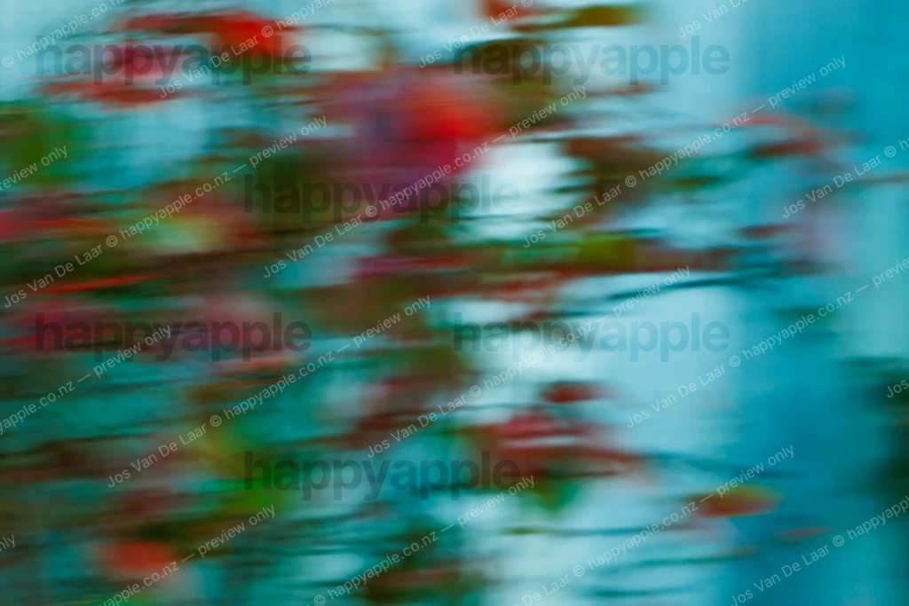 Blurred reflection of red and green foliage on water surface — Nature photo by Jos Van De Laar